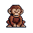 monkey